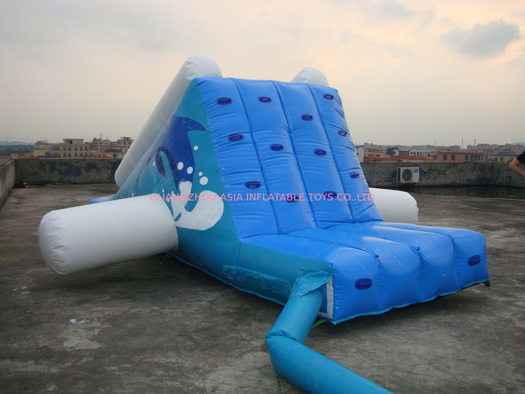 Factory Direct Shipping Aqua Inflatable Water Park Slide for Kids