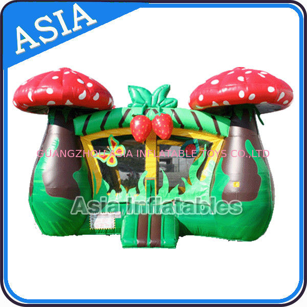Inflatable Strawberry Bouncer And Slide Combo Games For Children